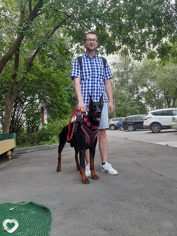 Михаил, 39, Москве — анкета №2991370