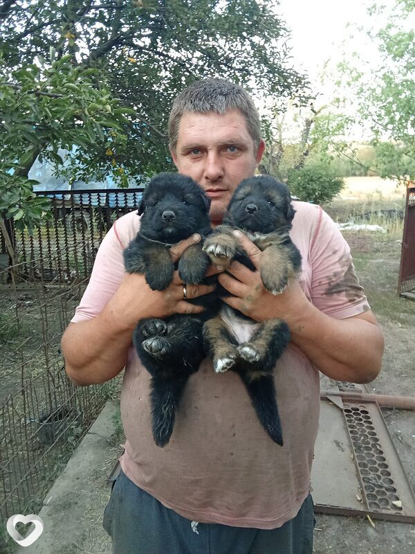 Андрей, 40, Луганске — анкета №2991357