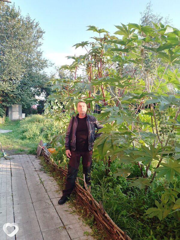 Пётр, 63, Новокузнецке — анкета №2994073
