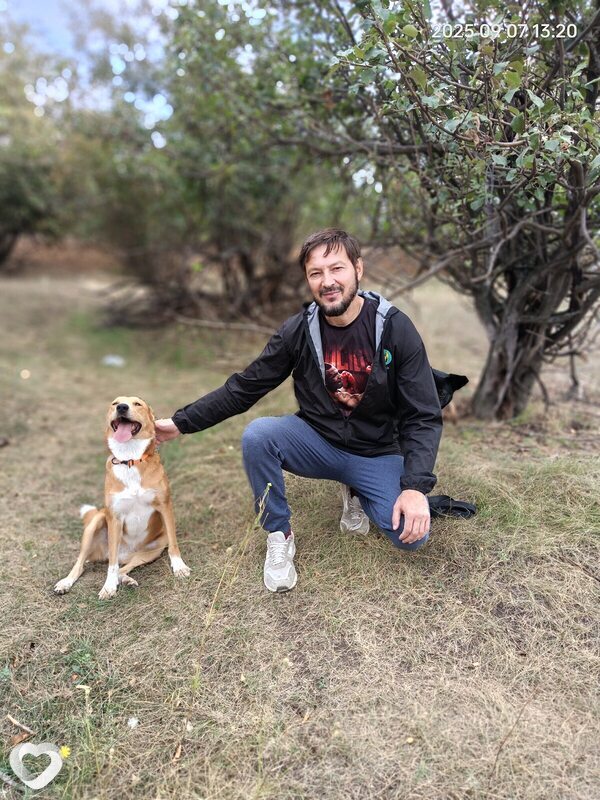 Дмитрий, 39, Москве — анкета №2996265