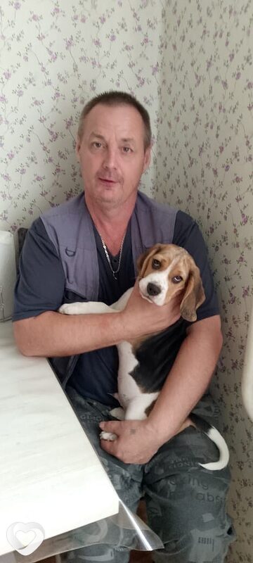 Владимир, 49, Томске — анкета №2998124