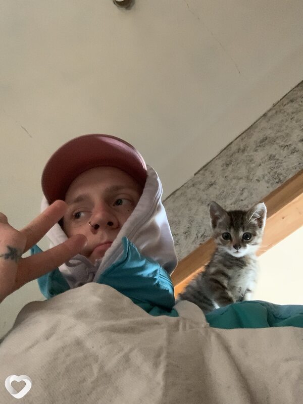 Миша, 31, Великом Новгороде — анкета №3000523