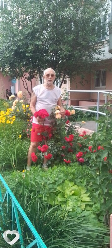 Владимир, 68, Курске — анкета №3002368
