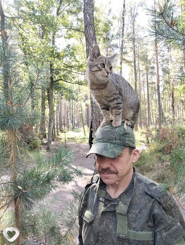 Николай, Белая Березка