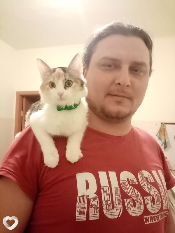 Слава Журавлев, 41, Камышине — анкета №3002537