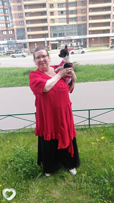Наталья, 56, Санкт-Петербурге — анкета №3002558