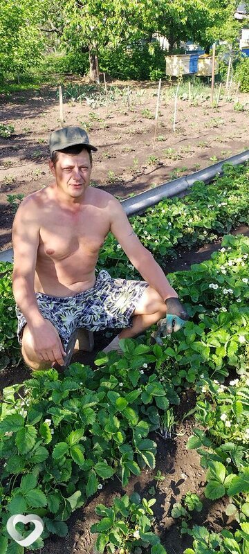 Вовка, 48, Донецке — анкета №3004136