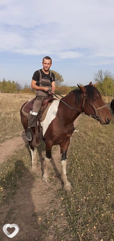 Владимир, 28, Туле — анкета №3013952
