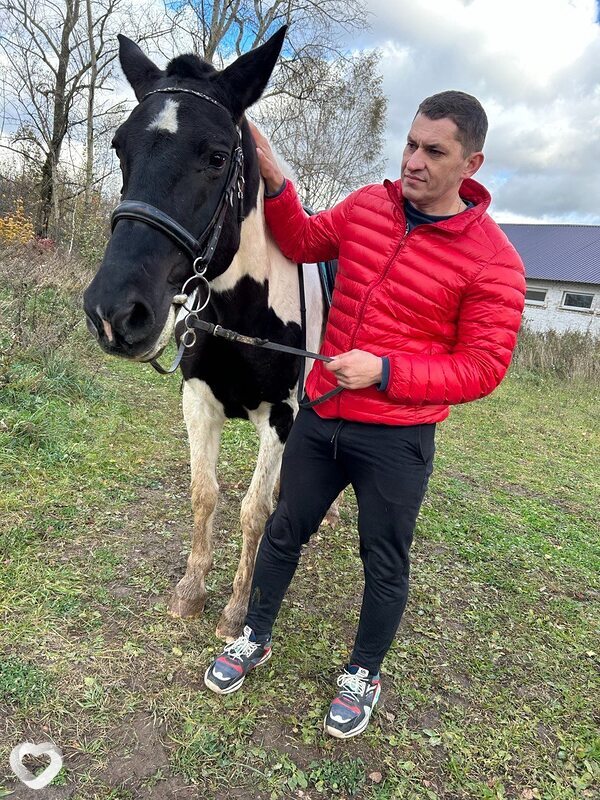 Дамир, 37, Нижнем Новгороде — анкета №3015392