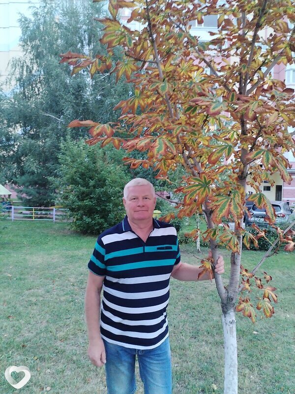 Роман, 59, Ульяновске — анкета №3015601