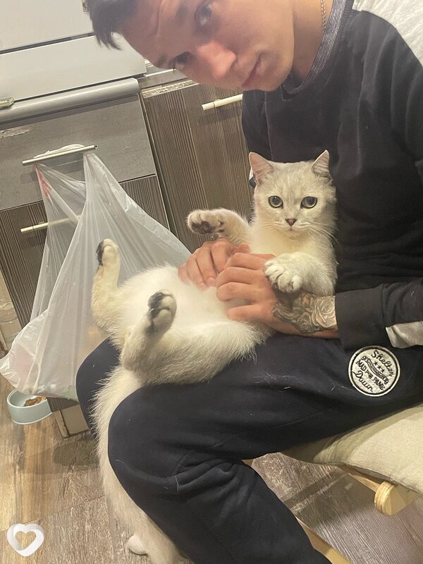 Дмитрий, 25, Ярославле — анкета №3023090