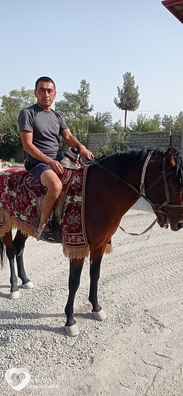 Шерзод, 46, Уфе — анкета №3029522