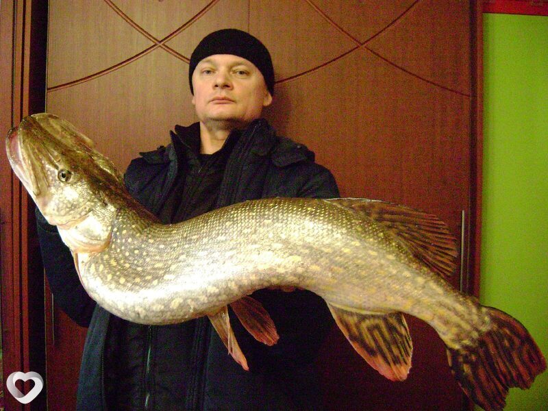 Игорь, 53, Александрове — анкета №3031723