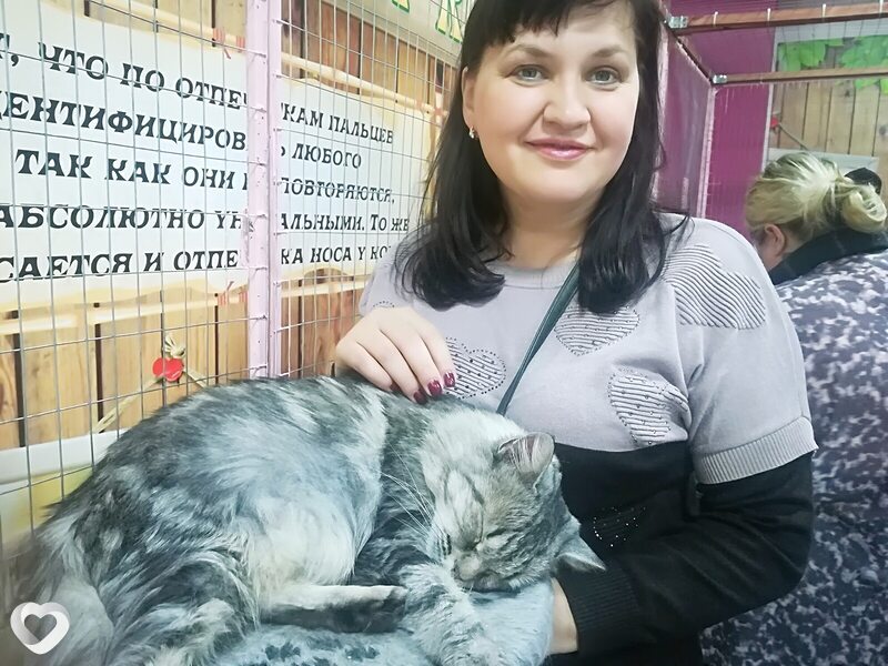 Яна, 48, Волгограде — анкета №3034327