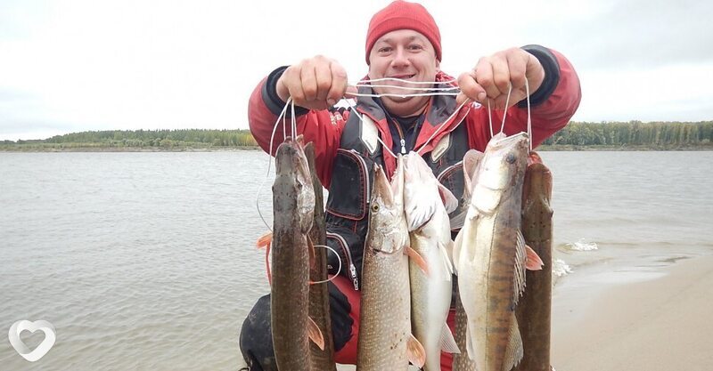 Сергей, 48, Орёл — анкета №3043279