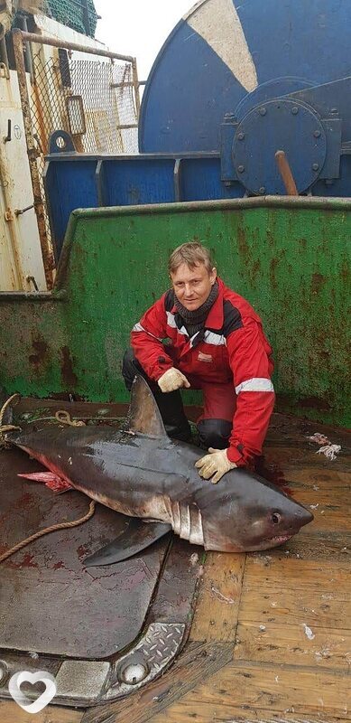 Роман, 41, Хабаровске — анкета №3045797