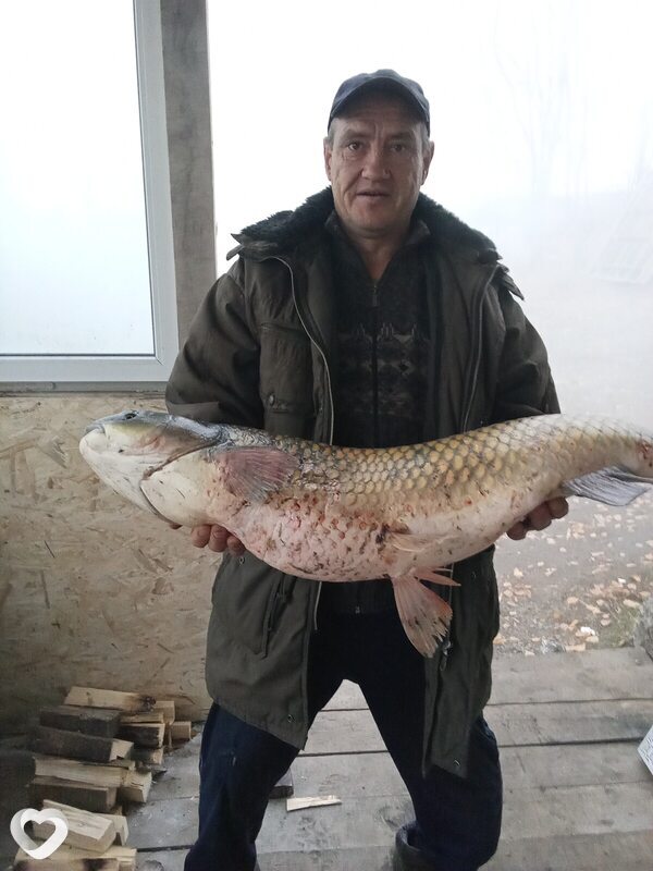 Виктор, 50, Белгороде — анкета №3049456