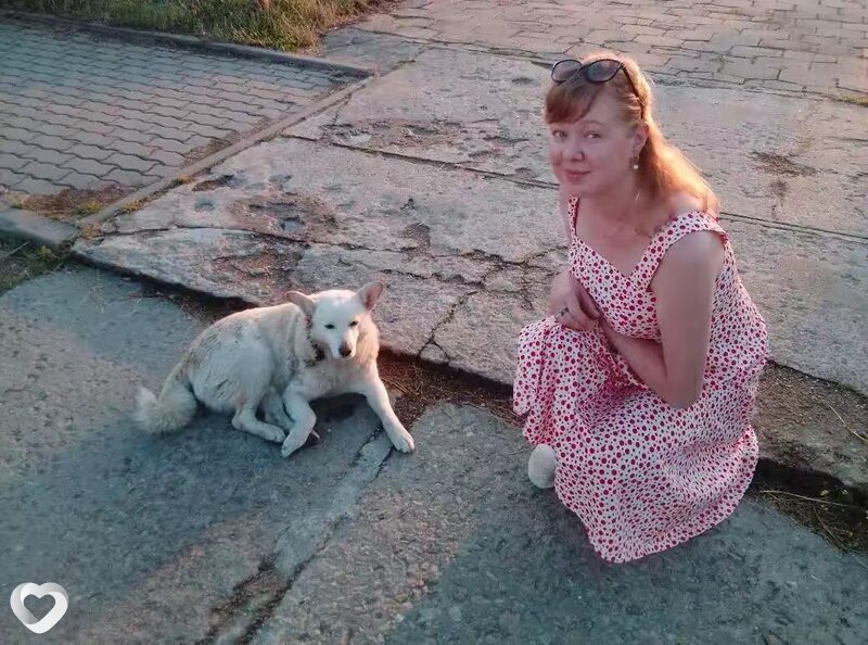 Koshka, Дятлово
