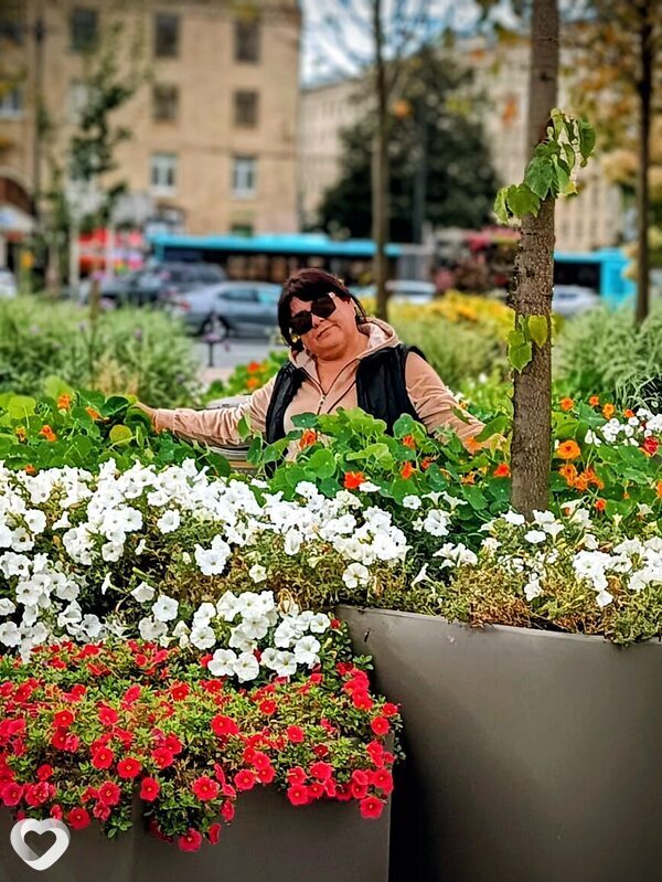 Иля, Барда