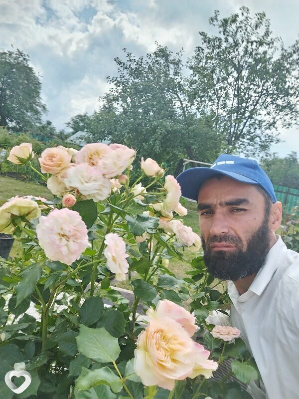 Самир, 35, Душанбе — анкета №3063346