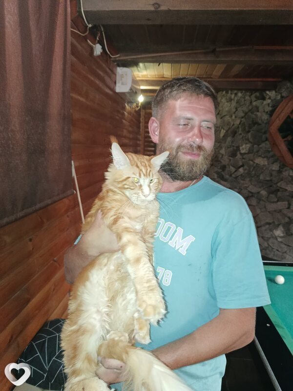 Андрей, 37, Владивостоке — анкета №3074780