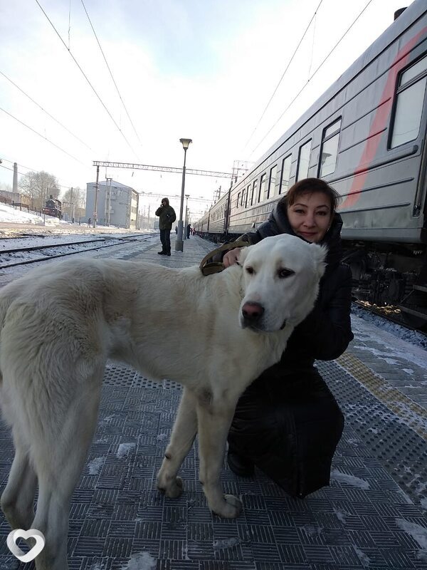 Светлана, 51, Находке — анкета №3083803