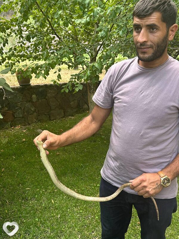 Vardan, 34, Ереван — анкета №3083628