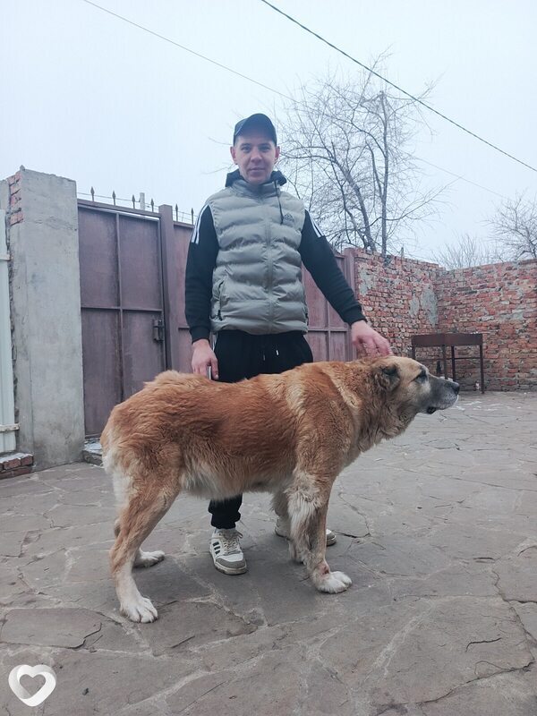 Александр, 32, Каменске-Шахтинском — анкета №3084473