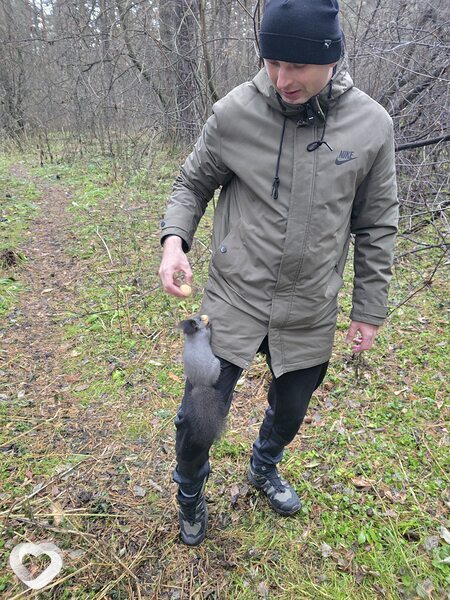 Сергей, 34, Кемерове — анкета №3088281