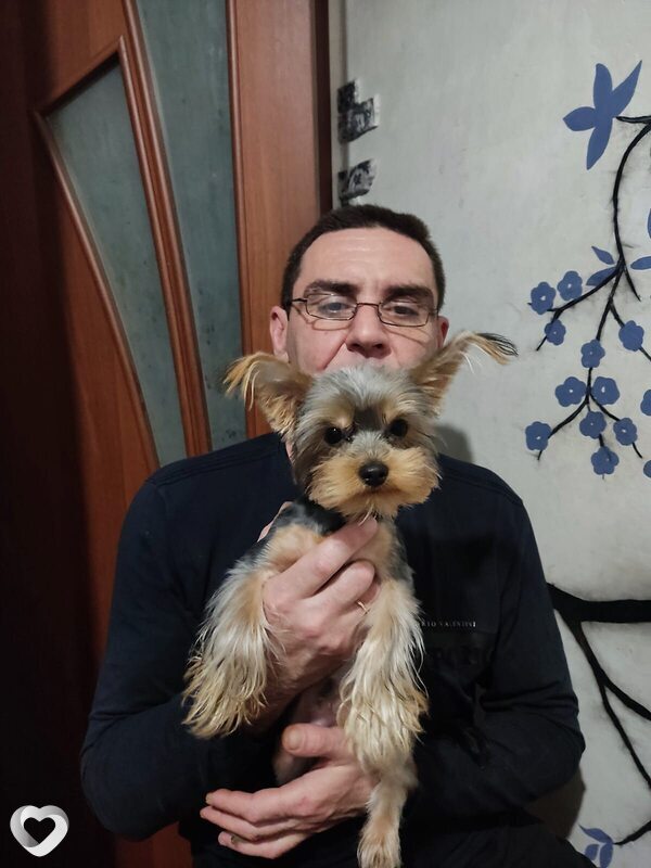 Григорий, 47, Краснодаре — анкета №3095230