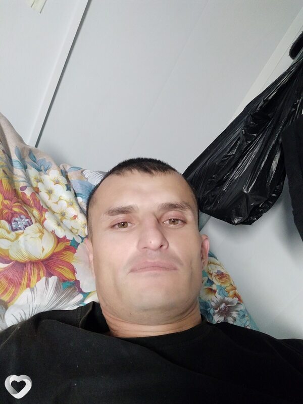 Timur, Поварово