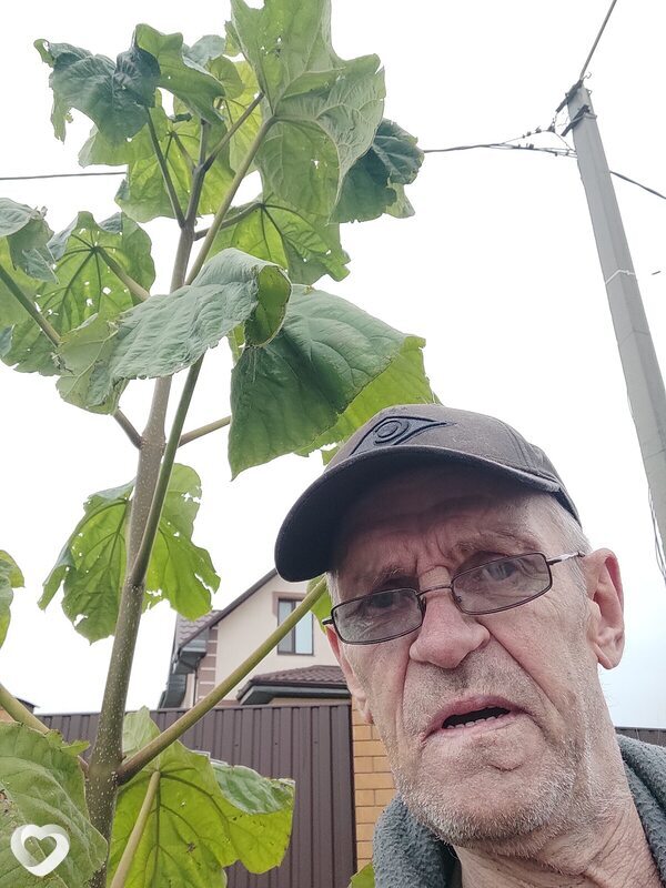 Василий, 65, Белгороде — анкета №3098389