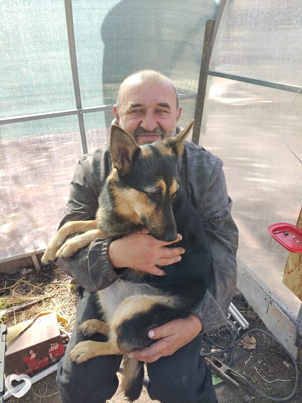 Пётр, 58, Ростове-на-Дону — анкета №3100974