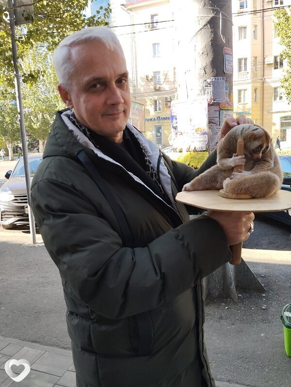 Эдуард, 51, Волгограде — анкета №3103542