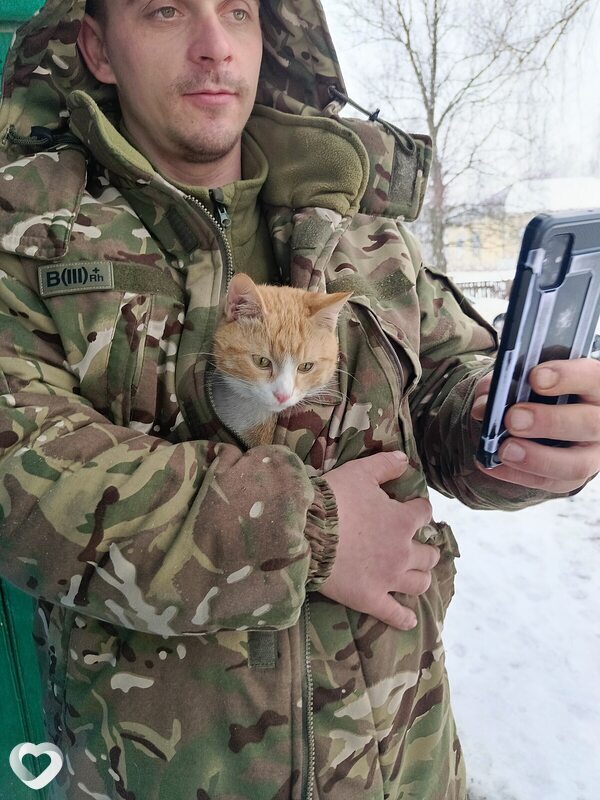 Sacha, 35, Чернигове — анкета №3109605