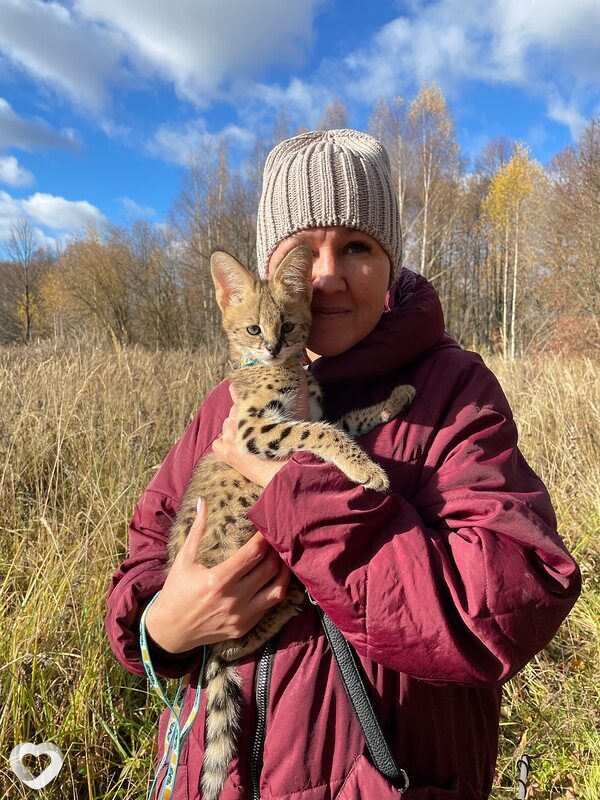 Татьяна, 49, Костроме — анкета №3114119