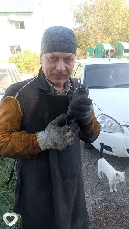 Андрей, 54, Тольятти — анкета №3117678