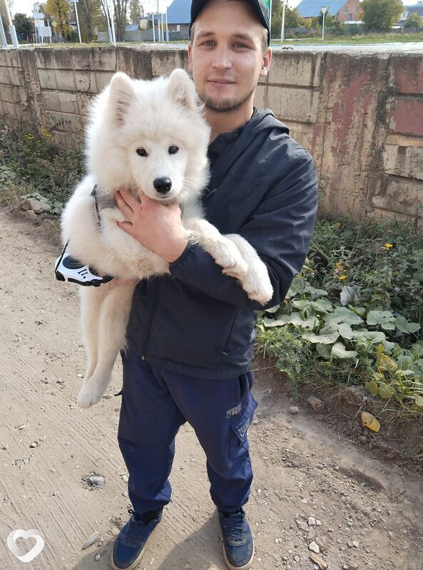 Денис, 32, Ижевске — анкета №3120601