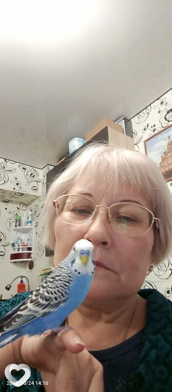 Наталья Волкова, 51, Перми — анкета №3121800