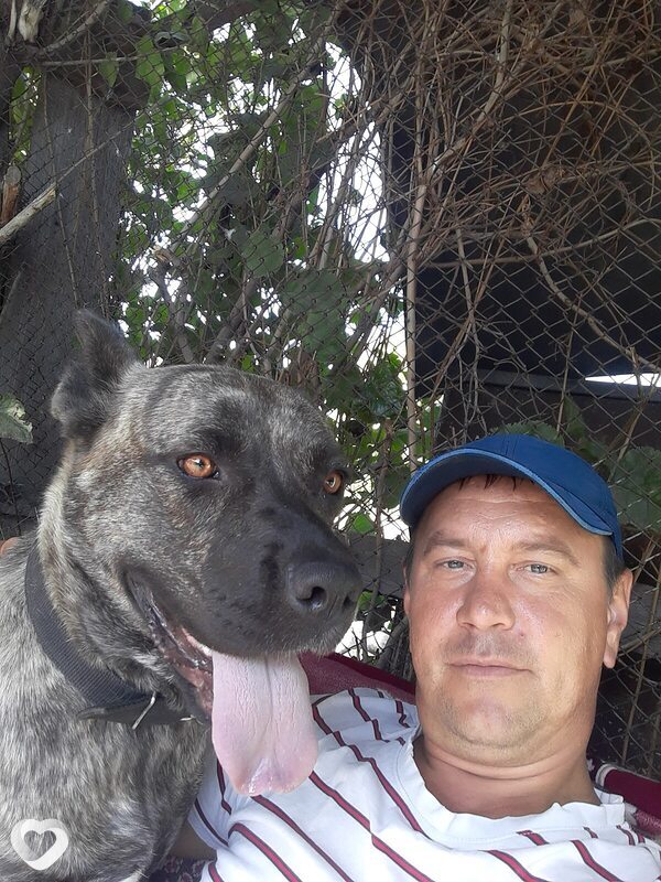 Андрей, 42, Петропавловске — анкета №3125464