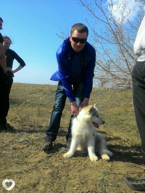 Николай, 41, Павлодаре — анкета №3129587