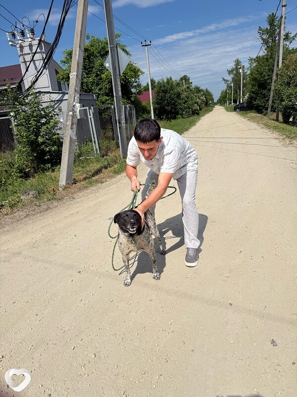 Vardan, 22, Санкт-Петербурге — анкета №3130058
