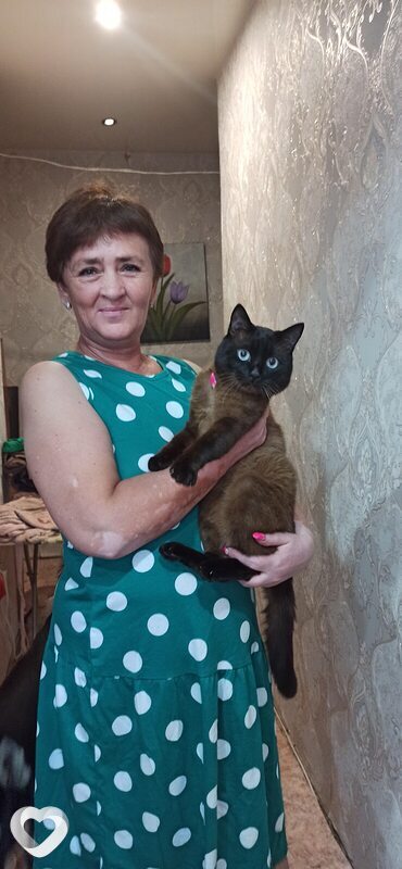 Светлана, 49, Зиме — анкета №3130781