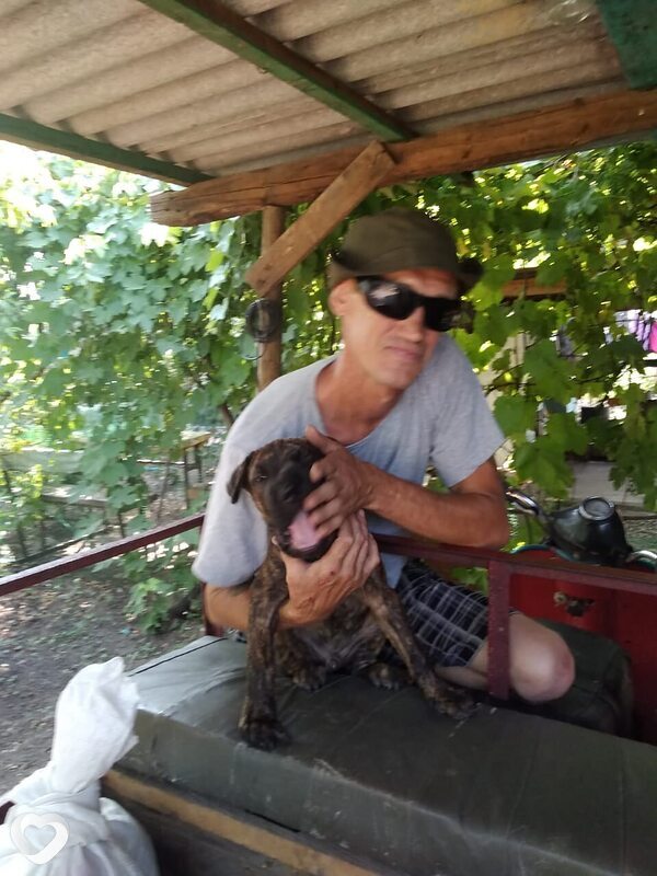 Роман, 49, Краснодаре — анкета №3135326