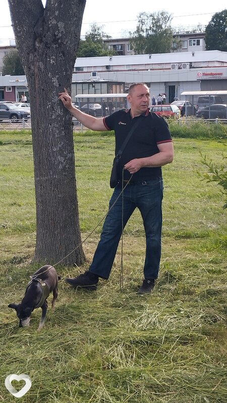 Миша, 53, Санкт-Петербурге — анкета №3137944