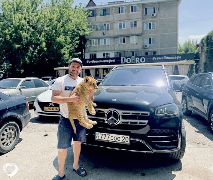 Кайрат, 37, Шымкенте — анкета №3138109
