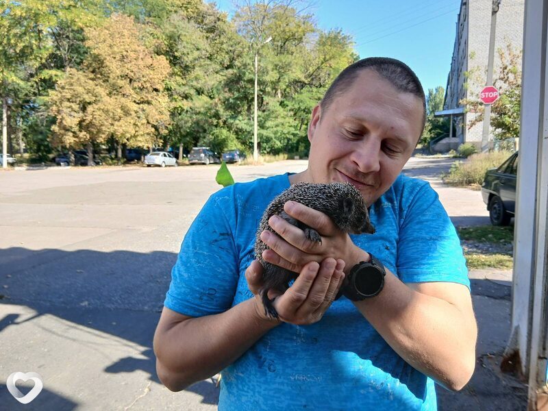 Олександр, 36, Ровно — анкета №3142347
