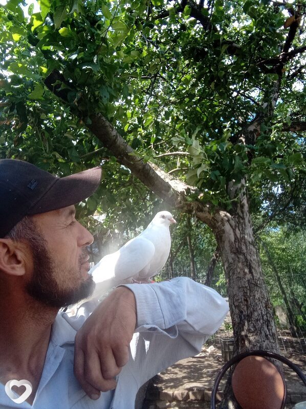 Алик, 35, Уфе — анкета №3145362