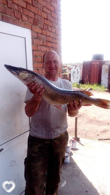 Сергей, 57, Тулуне — анкета №3146382