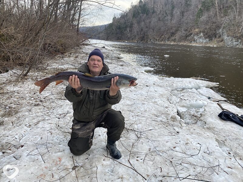 Андрей, 57, Новосибирске — анкета №3146978